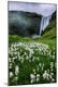 Premium Photographic Print