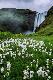 Premium Photographic Print