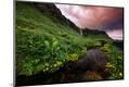 Premium Photographic Print