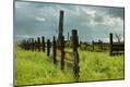 Premium Photographic Print
