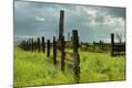 Photographic Print