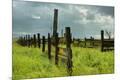 Photographic Print