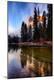 Photographic Print
