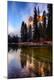 Premium Photographic Print