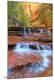 Premium Photographic Print