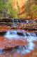 Premium Photographic Print