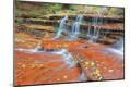 Photographic Print