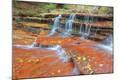 Photographic Print