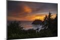 Photographic Print