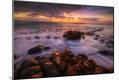 Photographic Print