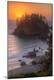 Premium Photographic Print