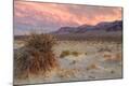 Photographic Print