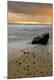 Premium Photographic Print