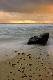 Premium Photographic Print