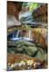 Premium Photographic Print