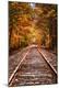 Photographic Print