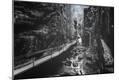 Photographic Print
