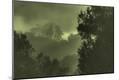 Photographic Print