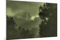 Photographic Print