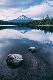 Premium Photographic Print