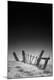Photographic Print