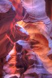 Virgin River Morning View, Zion National Park, Utah-Vincent James-Photographic Print