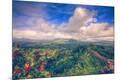Photographic Print