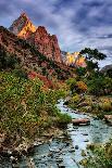 Virgin River Morning View, Zion National Park, Utah-Vincent James-Photographic Print