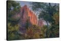 Stretched Canvas Print