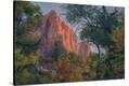 Stretched Canvas Print