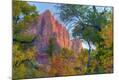 Photographic Print