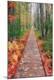 Photographic Print