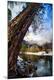 Premium Photographic Print