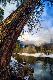 Premium Photographic Print