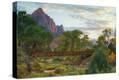 Stretched Canvas Print