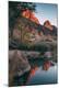 Photographic Print