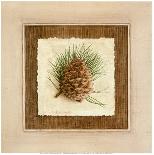 Pomme de Pin I-Vincent Jeannerot-Mounted Art Print
