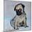 Vincent, the pug puppy-Brenda Brin Booker-Mounted Giclee Print