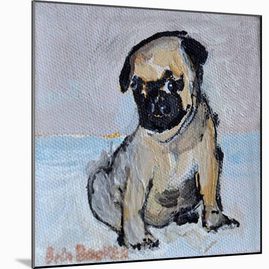 Vincent, the pug puppy-Brenda Brin Booker-Mounted Giclee Print