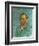 Vincent Van Gogh (1853-1890)-Vincent van Gogh-Framed Giclee Print