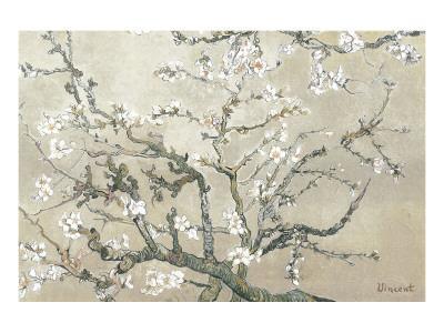 almond blossom by vincent van gogh on canvas