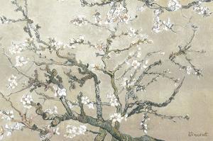 Almond Branches in Bloom, San Remy, c.1890 (tan) by Vincent van Gogh