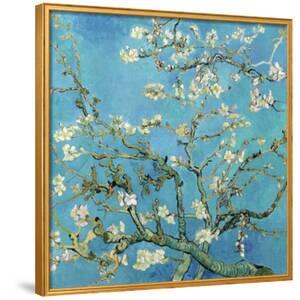Almond Branches in Bloom, San Remy, c.1890 by Vincent van Gogh