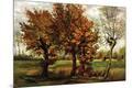Premium Giclee Print