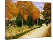 Stretched Canvas Print