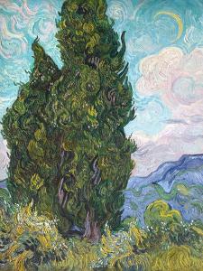 Cypresses by Vincent van Gogh