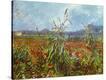 Stretched Canvas Print