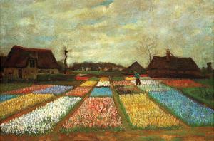 Flower Beds of Holland by Vincent van Gogh