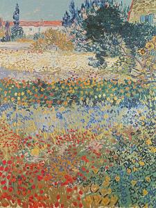 Garden in Bloom, Arles, c.1888 by Vincent van Gogh