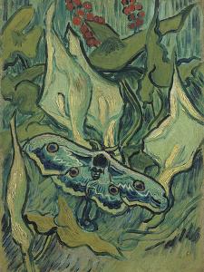 Green Peacock Moth (The Emperor Mot), 1889 by Vincent van Gogh